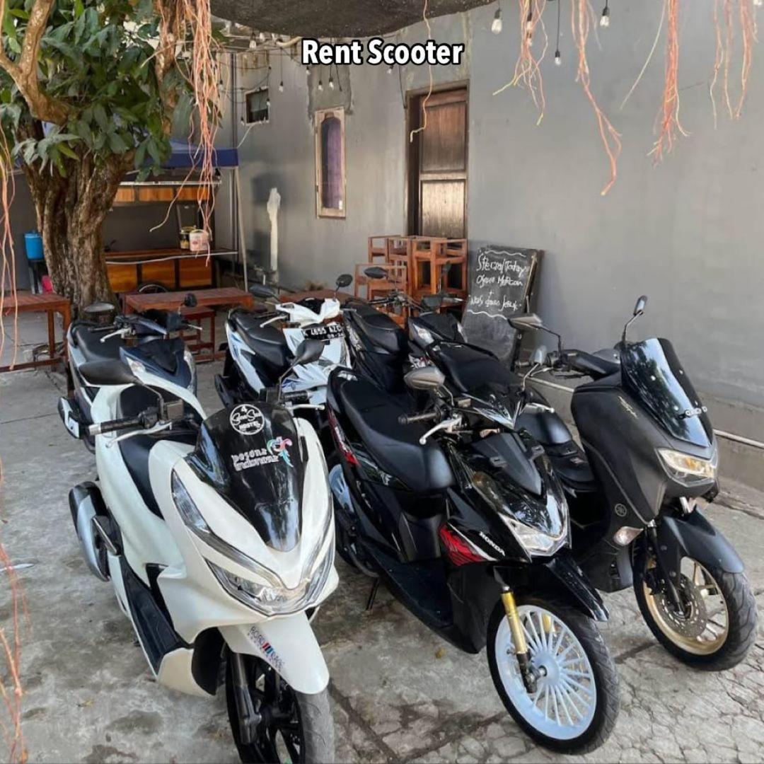 Loyal Friend Hostel كاريمونجاوا المظهر الخارجي الصورة